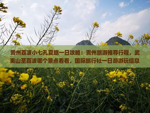 贵州荔波小七孔夏旅一日攻略：贵州旅游推荐行程，武夷山至荔波哪个景点看看，国际旅行社一日游游玩信息