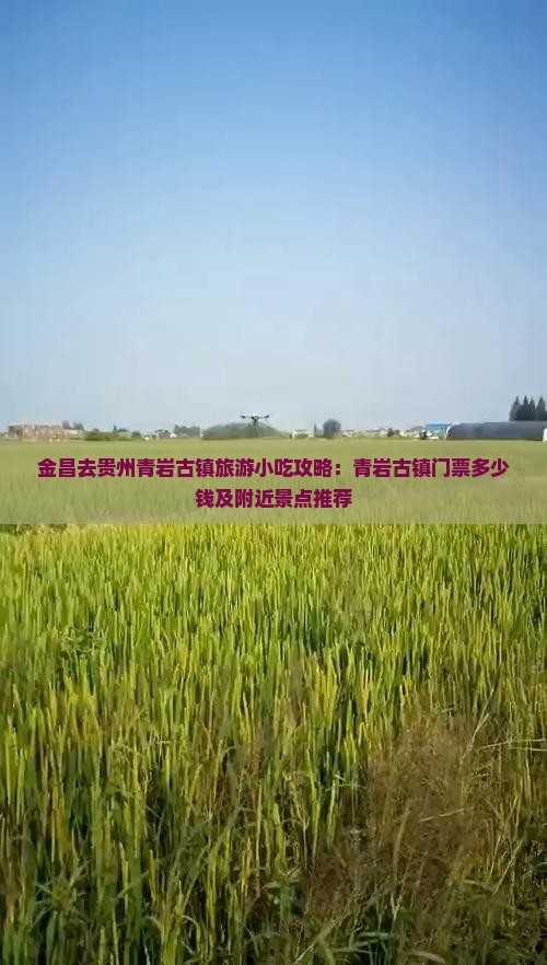 金昌去贵州青岩古镇旅游小吃攻略：青岩古镇门票多少钱及附近景点推荐