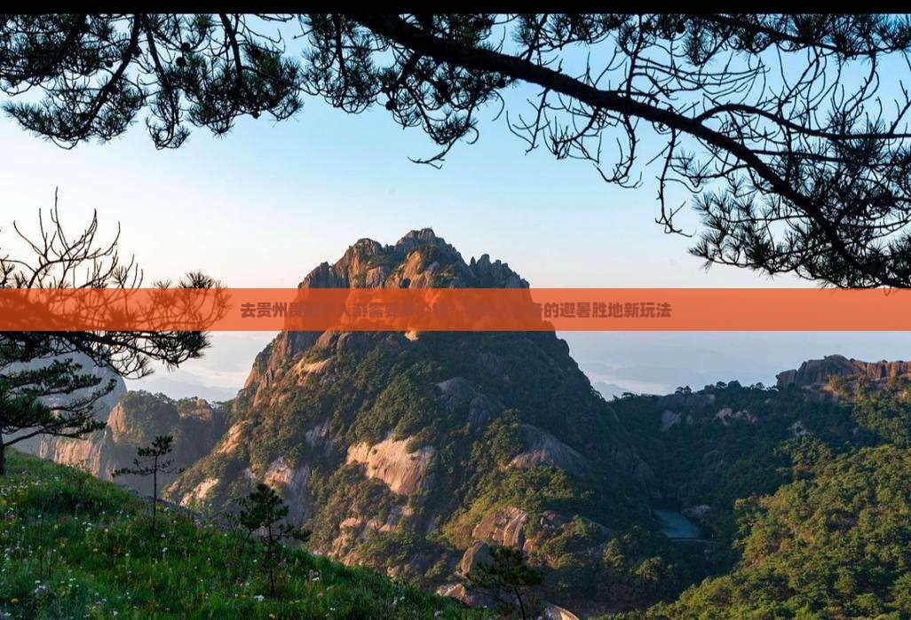 去贵州贵阳个人游需要多少钱？铁岭人必备的避暑胜地新玩法