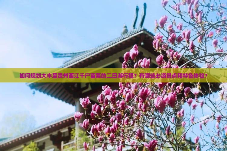 如何规划大丰至贵州西江千户苗寨的二日游行程？有哪些必游景点和特色体验？