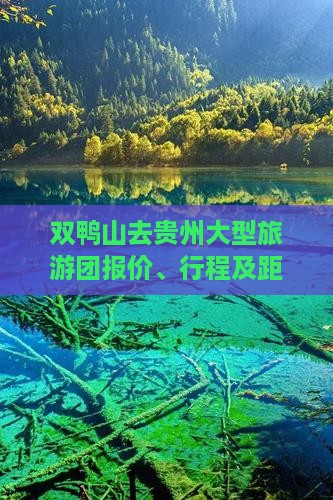 双鸭山去贵州大型旅游团报价、行程及距离
