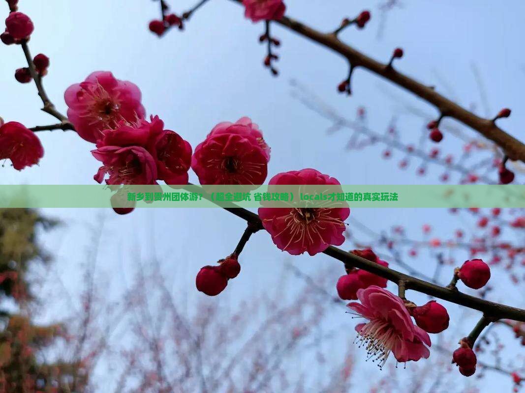 新乡到贵州团体旅游 新乡到贵州团体旅游