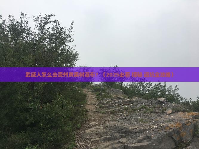 武威到贵州黄果树瀑布个人游