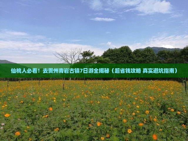 仙桃去贵州青岩古镇七日游