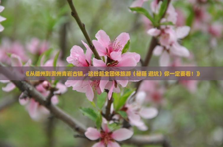 德州去贵州青岩古镇团体旅游