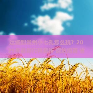 运城到贵州小七孔旅行社