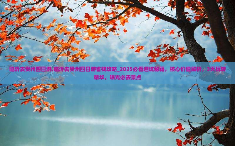 临沂去贵州四日游