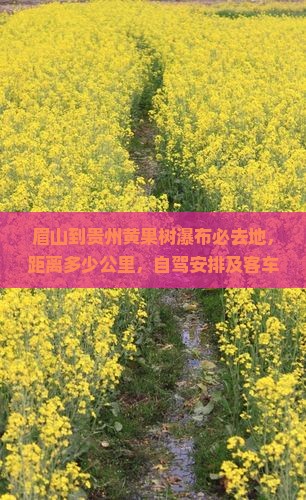眉山到贵州黄果树瀑布必去地