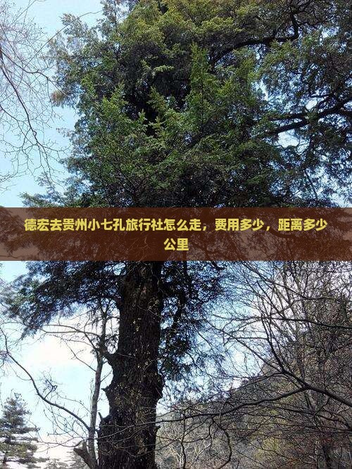 德宏去贵州小七孔旅行社