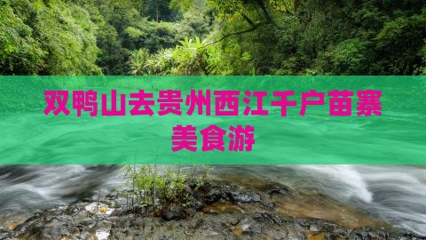 双鸭山去贵州西江千户苗寨旅游小吃