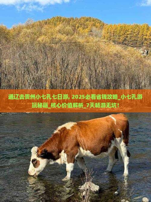 通辽去贵州小七孔七日游