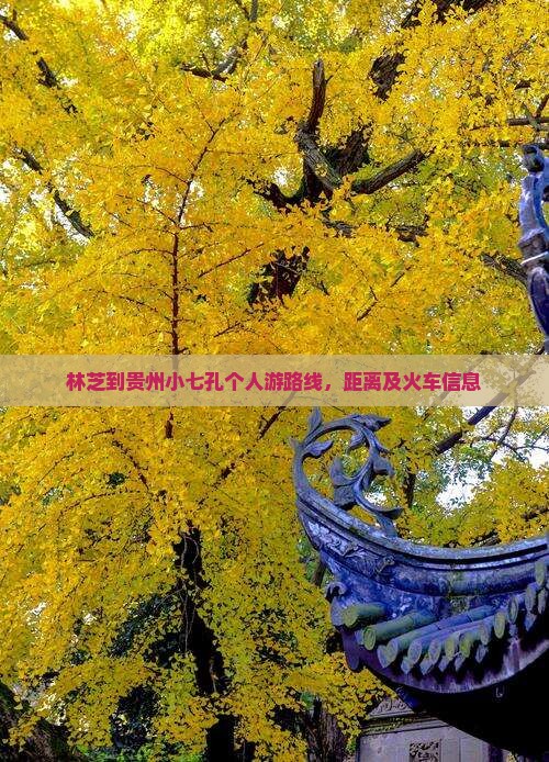 林芝到贵州小七孔个人游