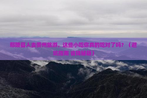 鄢陵县去贵州旅游小吃
