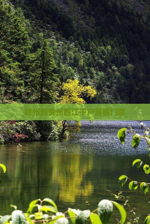 赣州到贵州西江千户苗寨门票