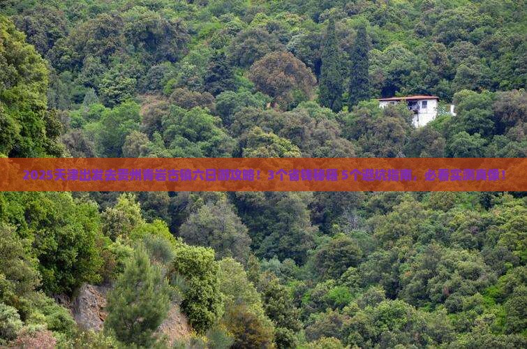 天津到贵州青岩古镇六日游