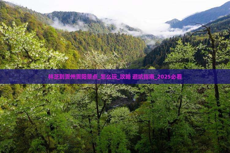 林芝到贵州贵阳景点