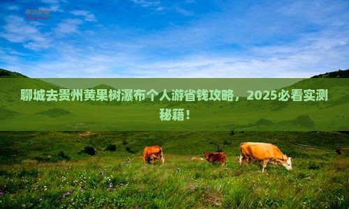 聊城去贵州黄果树瀑布个人游