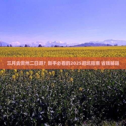 三月去贵州二日游