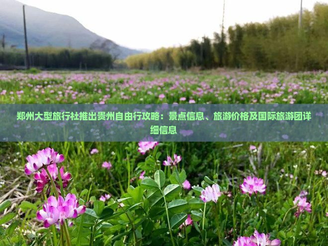 郑州大型旅行社推出贵州自由行攻略：景点信息、旅游价格及国际旅游团详细信息