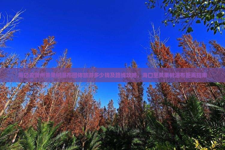 海口去贵州黄果树瀑布团体旅游多少钱及路线攻略，海口至黄果树瀑布距离指南