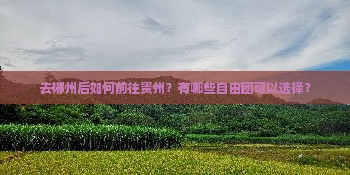 去郴州后如何前往贵州？有哪些自由团可以选择？