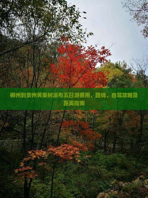 郴州到贵州黄果树瀑布五日游费用、路线、自驾攻略及距离指南