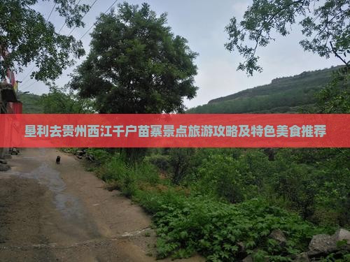 垦利去贵州西江千户苗寨景点旅游攻略及特色美食推荐