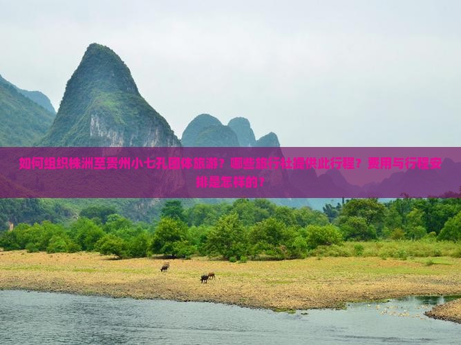 如何组织株洲至贵州小七孔团体旅游？哪些旅行社提供此行程？费用与行程安排是怎样的？