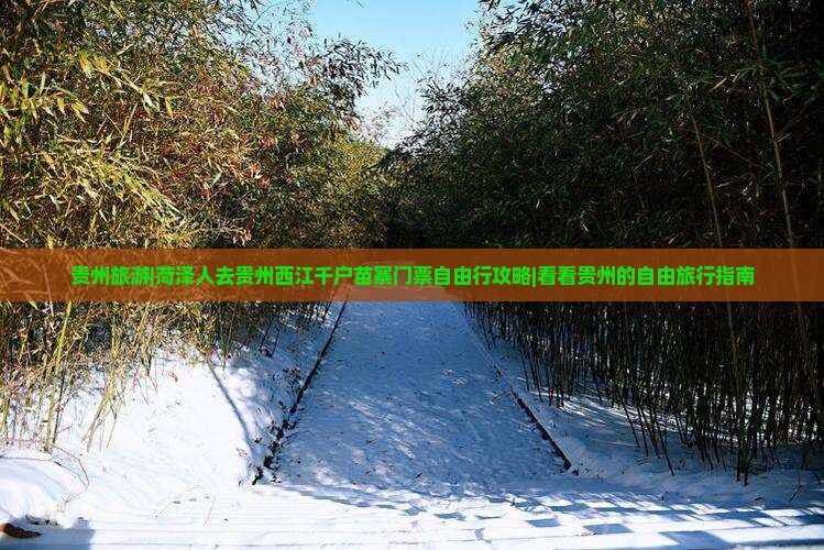 贵州旅游|菏泽人去贵州西江千户苗寨门票自由行攻略|看看贵州的自由旅行指南