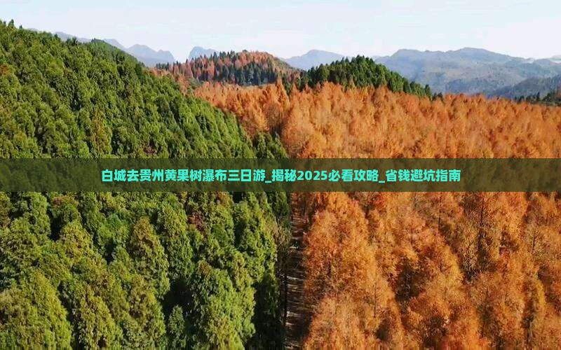 白城去贵州黄果树瀑布三日游