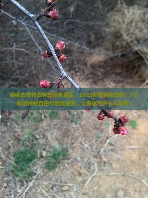 哈密去贵州青岩古镇自由团