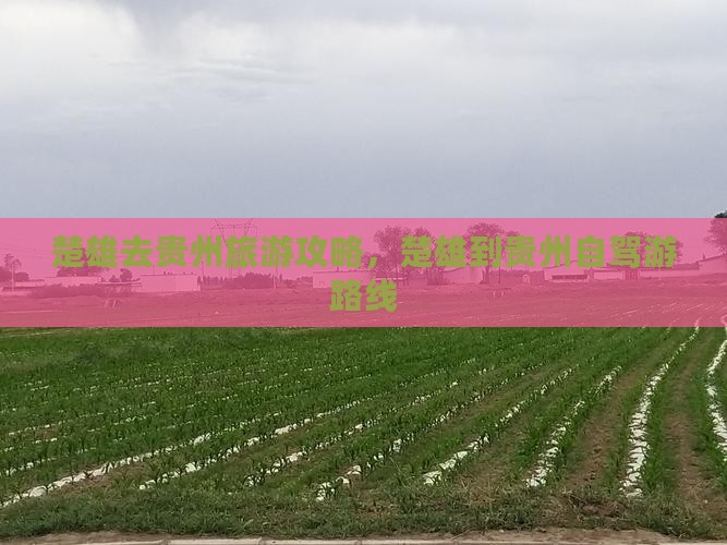 楚雄去贵州旅游