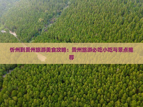 忻州到贵州旅游小吃
