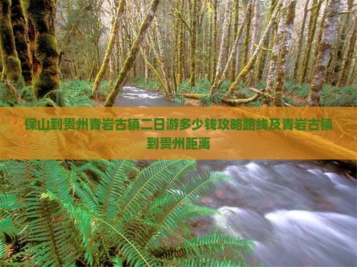 保山到贵州青岩古镇二日游