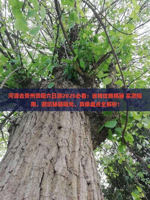 河源去贵州贵阳六日游