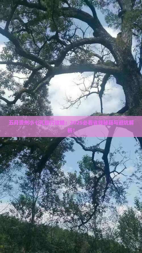五月去贵州小七孔旅行社