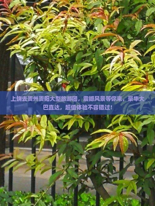 上饶去贵州贵阳大型旅游团