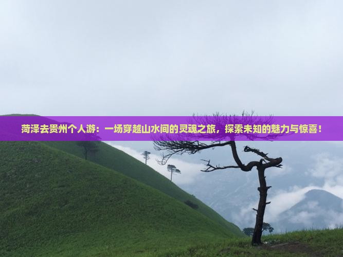 菏泽去贵州个人游