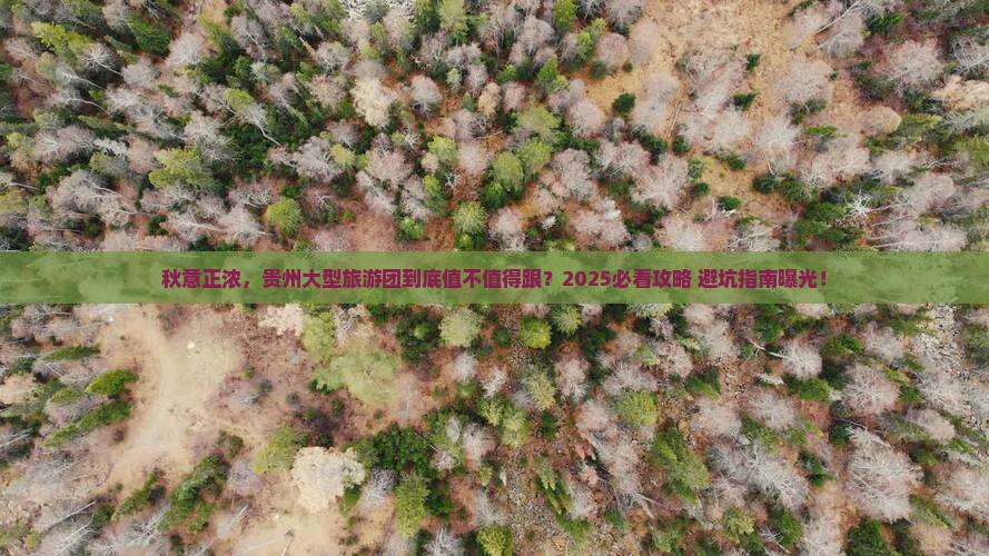 秋天去贵州大型旅游团