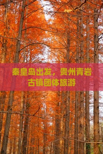秦皇岛去贵州青岩古镇团体旅游