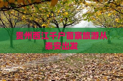 泰安去贵州西江千户苗寨门票