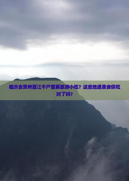 临沂去贵州西江千户苗寨旅游小吃