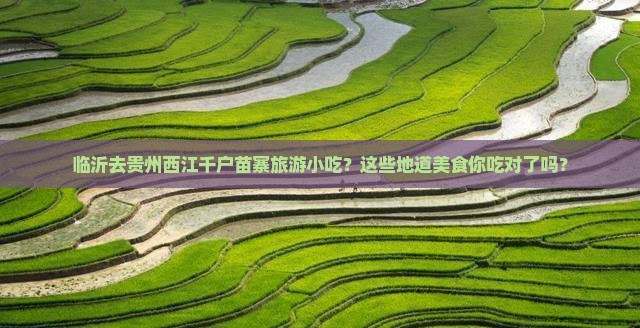 临沂去贵州西江千户苗寨旅游小吃