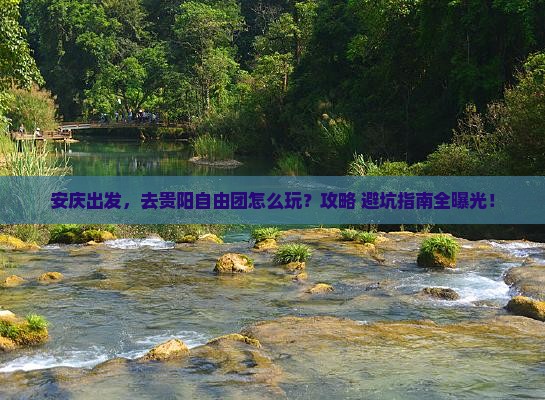 安庆到贵州贵阳自由团