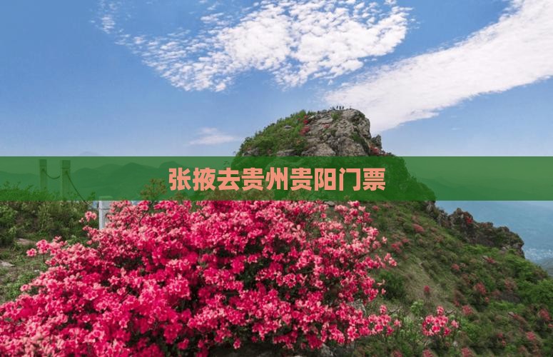张掖去贵州贵阳门票