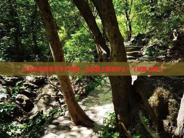 五家渠到贵州西江千户苗寨必去地