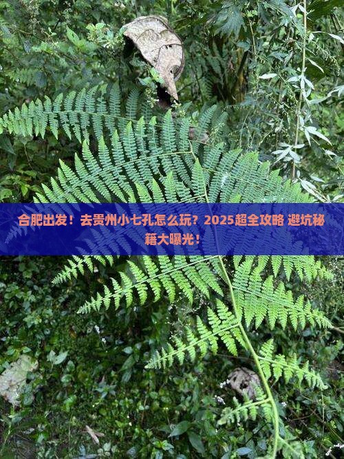 合肥到贵州小七孔景点