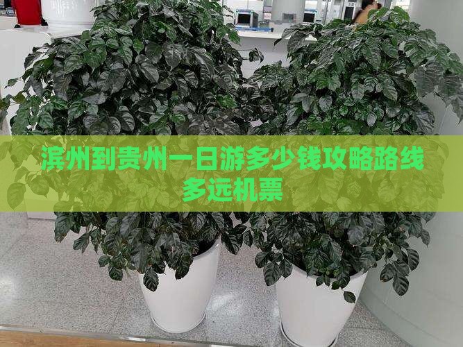 滨州到贵州一日