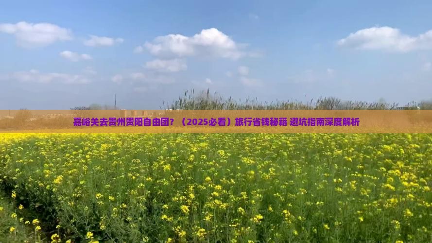 嘉峪关去贵州贵阳自由团