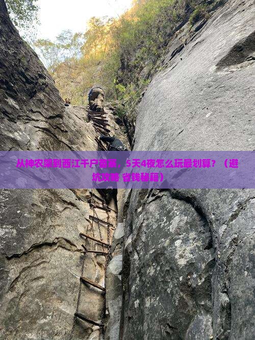 神农架去贵州西江千户苗寨大型旅游团